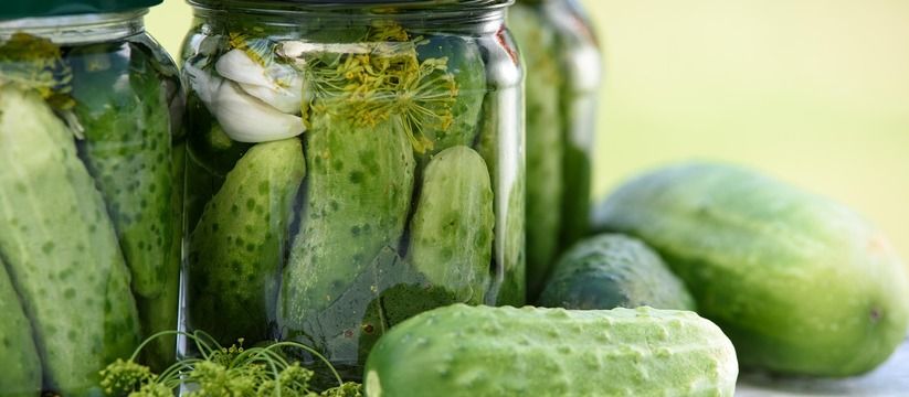 Не закуска, а искушение: маринованные огурцы на зиму всего за 20 минут — очень хрустящие и сладкие