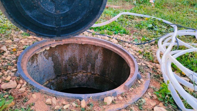 2 охапки в септик — и откачивать больше нечего: ассенизаторы остались без работы