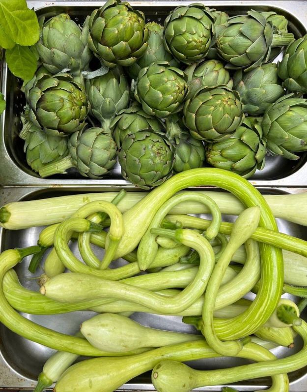 Здоровье и вкус в меню: новинки ресторанов Novikov Group