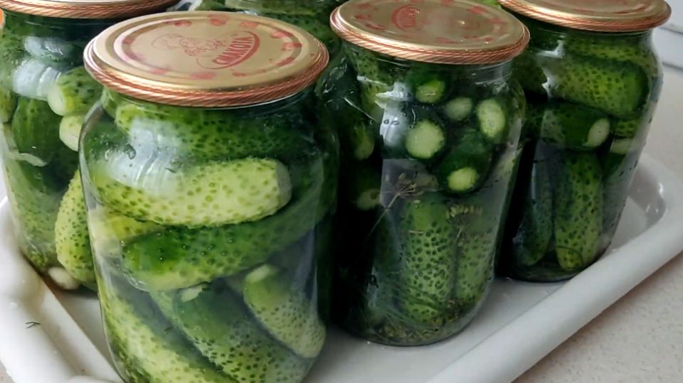Секреты хрустящих огурцов: как правильно квасить без добавок