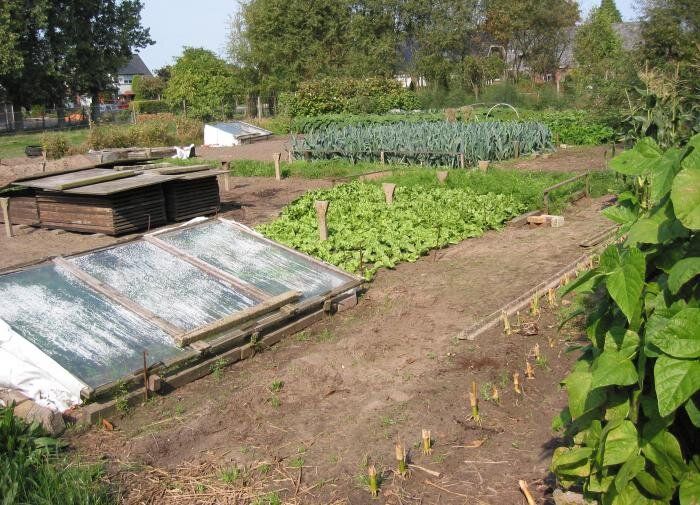 Современные методы обработки растительных остатков