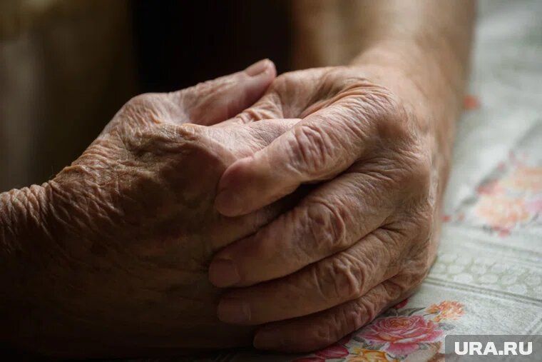 ���������� ������� � 2026 ����: ��� ������ ����������� �� ����������� �����?