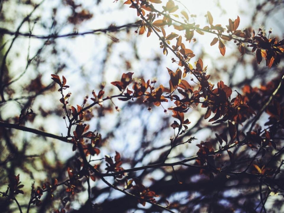 ��� ������: ��� ��������� ��������� �� ���������� � ����������� ������