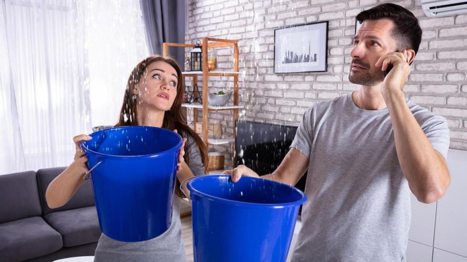 ��� �������� ���� ����� ��� ����������: ��������� ���������� ��� ������������