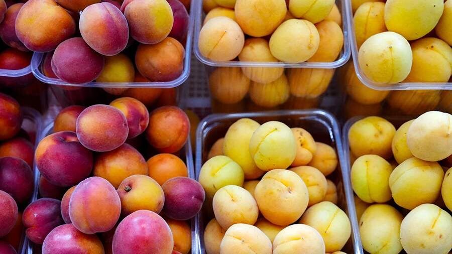 ��� ��������� ���� ������ � �����: ������ ��������� ��� ��������