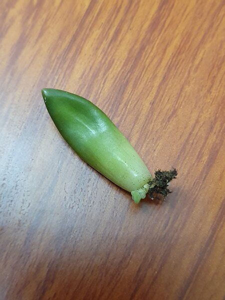 ���� ���� ������ ����� �����������: ������ ���� � ������