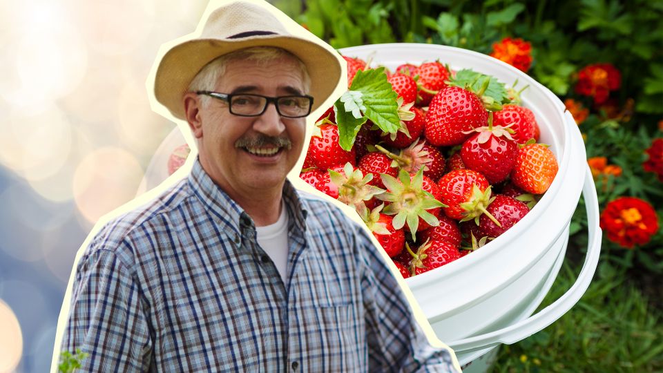 �������� ���� ��������� ������: ������� �� ���� ������� �������� ���������