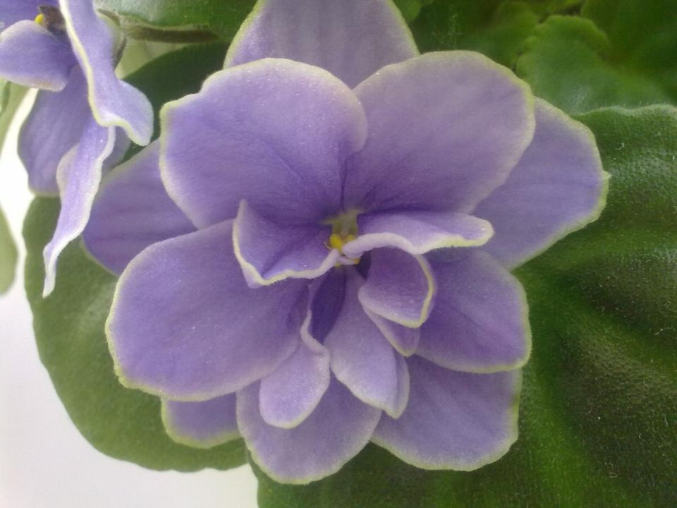 ��� ������������ ���� ����� �������� ����� � ���� ��������