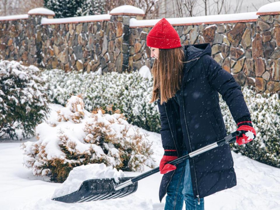 ��� ��������� ����� ������� �������� �����: ������� ��������� �������