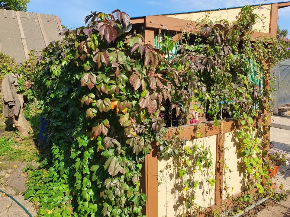 ��� ����������� �������� ����������� ���� ���� � ��� � ���� ������