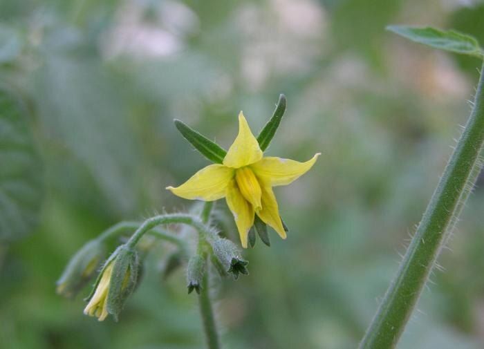 ��� �������� ��������� �������� � ����������� ������ � �������