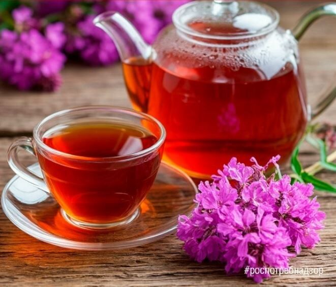 Иван-чай: удивительные свойства и секреты приготовления