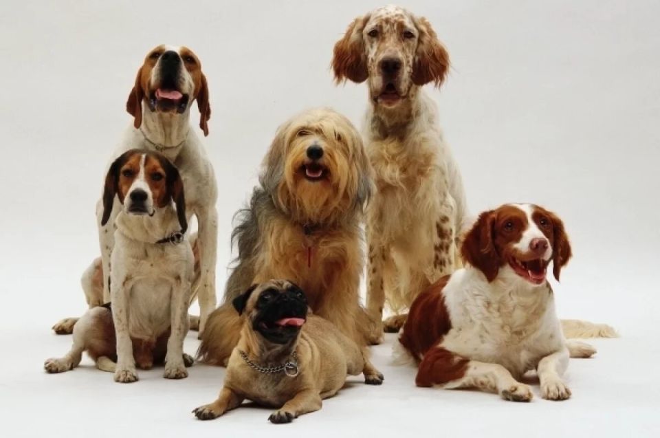 ������ �� ������ ���������� �������� ����� ������� � ��������� ���