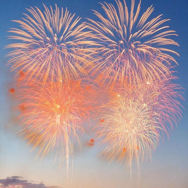 ������������ ���������� ����������� �������� � ������ � �������� 2026 ����