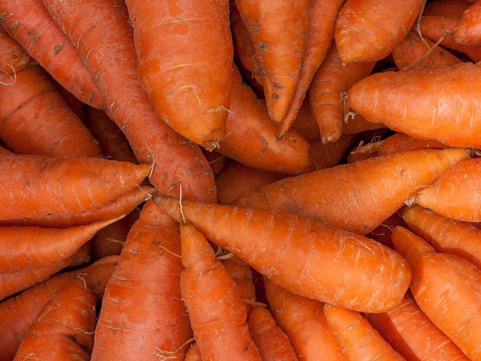 Неожиданные белые сердцевины моркови: что стоит знать