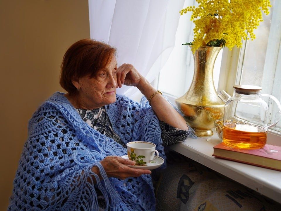 ���������� ����� 2026: ��� ������ ����� �� ������ ������ �������� �����