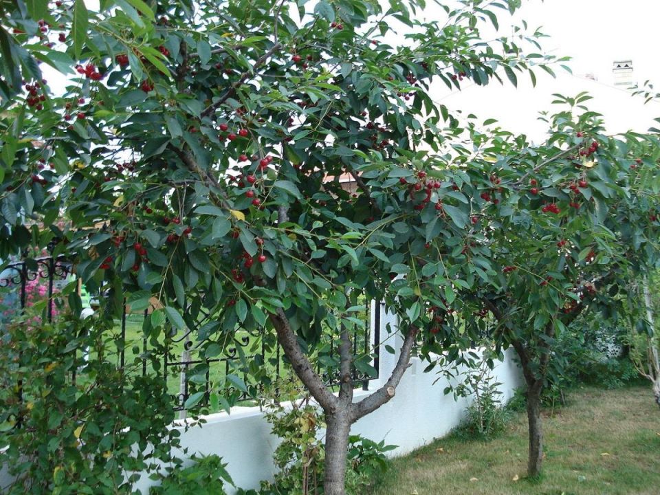 ��� ����� ������� ��������� �������� ���������� �� ��� �� ����� � ��� ��� ���������