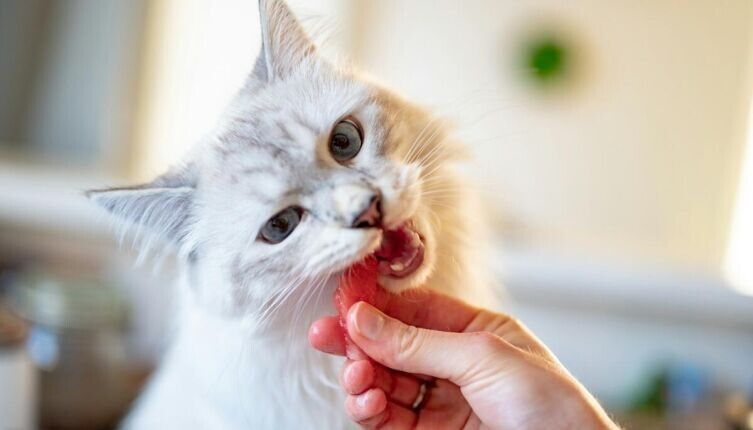 ����� �������� � ������������� ����� ����� ������ ����� � ��� ��� ����� ���� �������