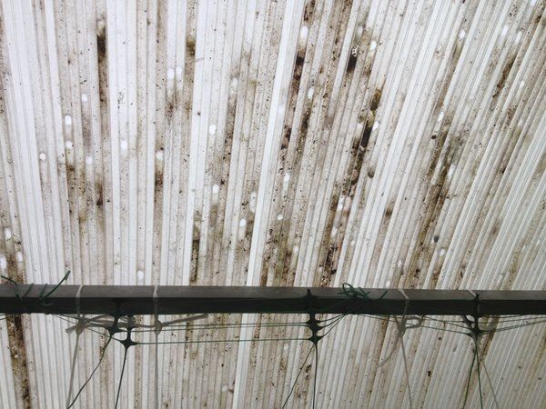 ��� ������� ������������ ��� ������� ��� ������ � ��������