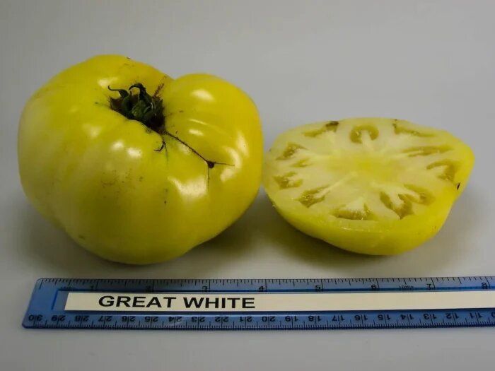 Томат Грейт вайт: крупноплодный биф-томат с необычным молочно-белым цветом и фруктовым вкусом