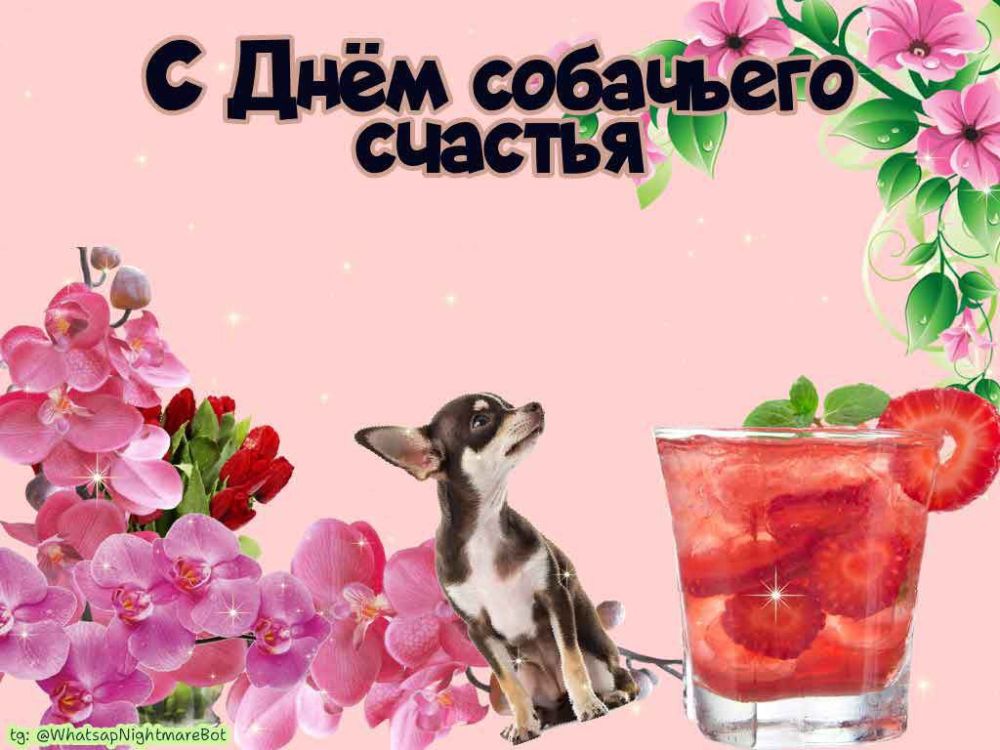 #  4 . e ecox e e coaeo cac e pacx pa      :