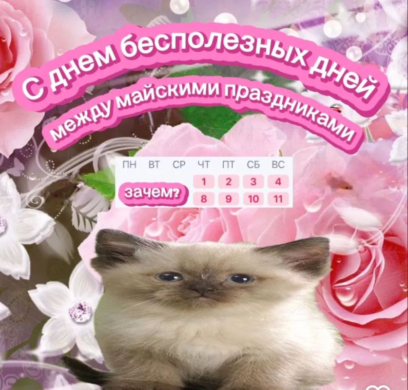     ,        