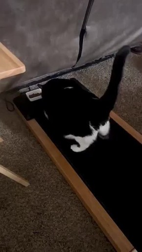     ,      
