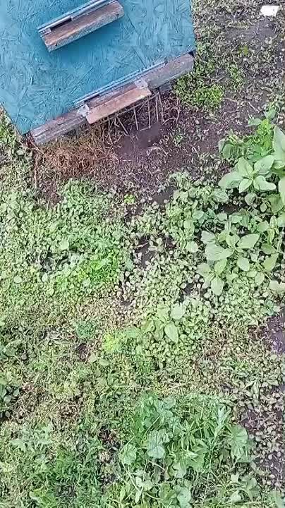    !