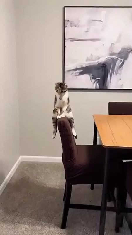     ,      
