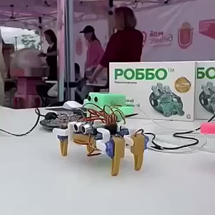    -  ,   3D-