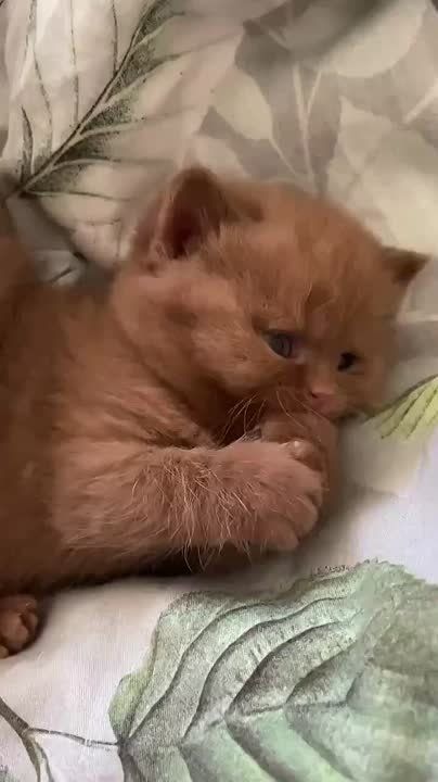       ,  , ,  