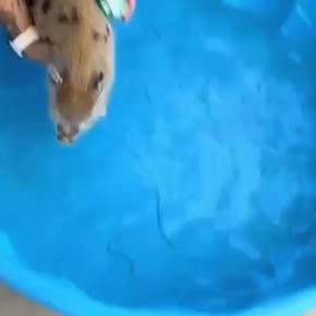        ,      