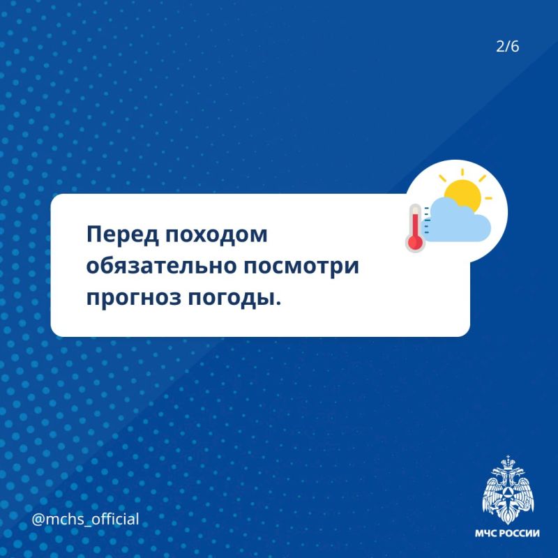 #СоветМЧС. Безопасный поход за грибами Чтобы прогулка по лесу не привела к несчастью, соблюдай простые правила, указанные в наших карточках