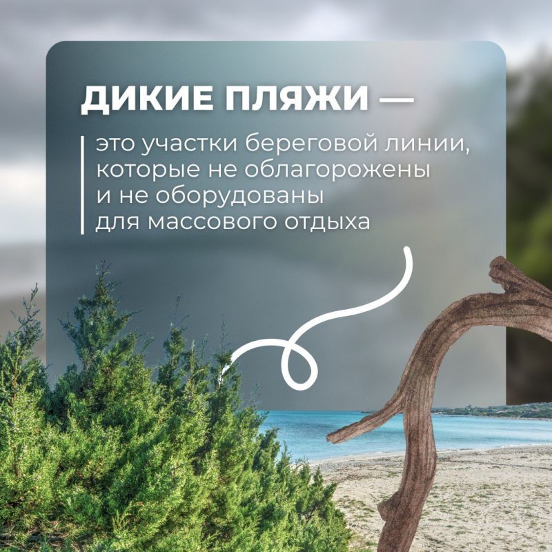 Безопасность превыше всего: почему опасно купаться на «диких» пляжах