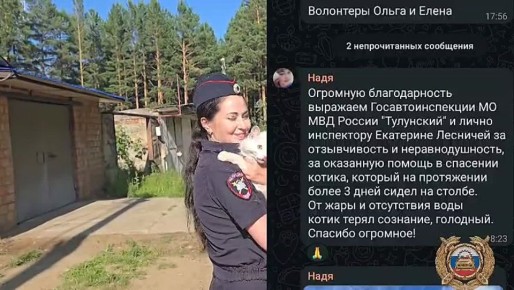 В Иркутской области волонтеры поблагодарили дорожных полицейских за спасение кота