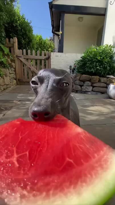   :       