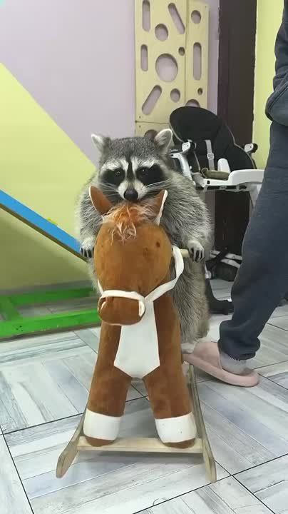  - ,      ?