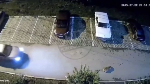 Машина переехала собаку в одном из дворов Новомосковска