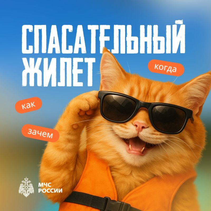  ,  :    