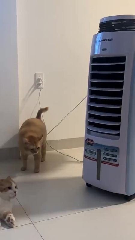  :  