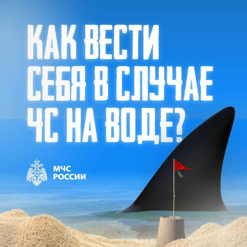  :  ,       ?