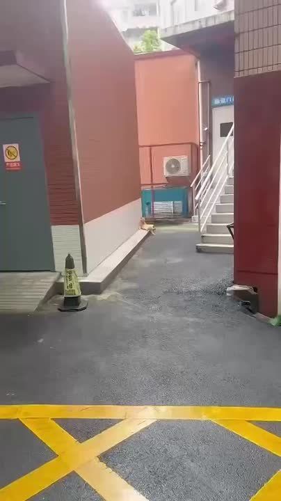    ,   ,      