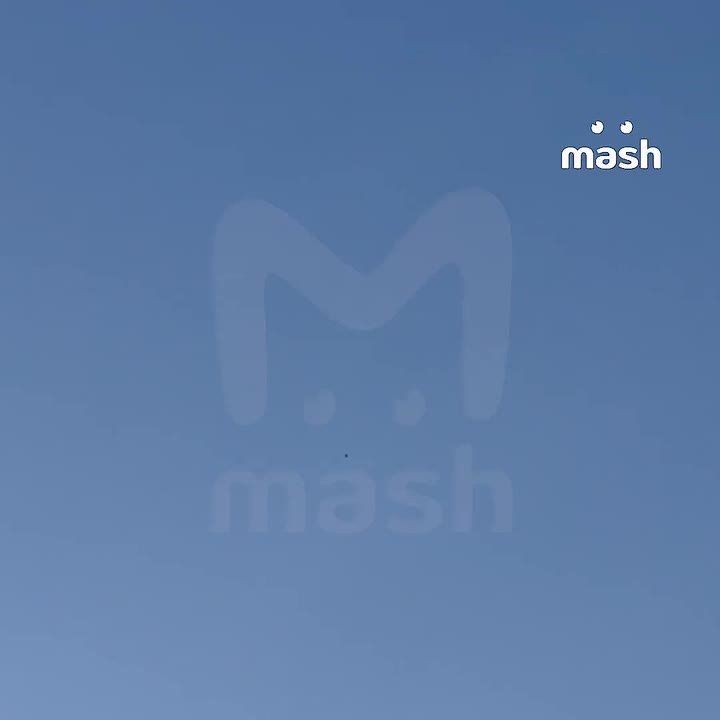     :  