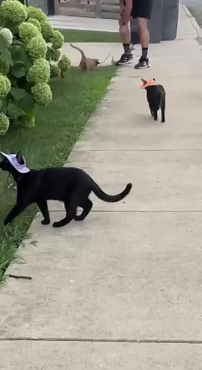      -    