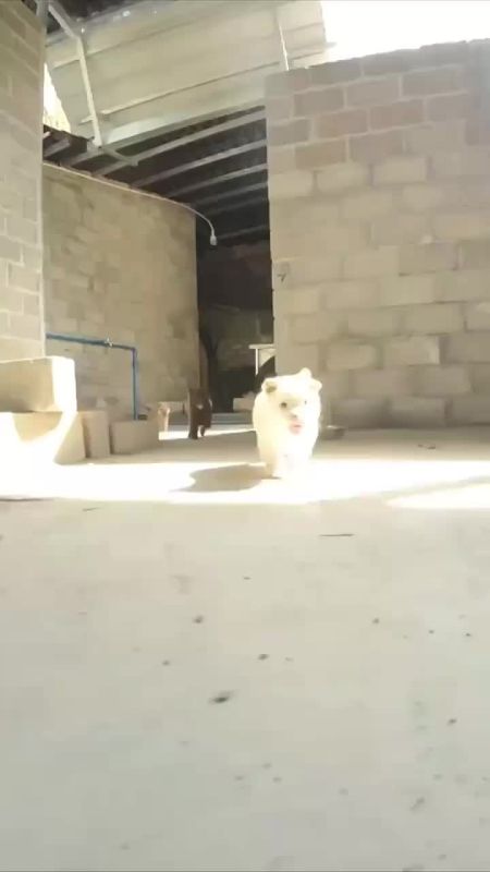 !            ,  