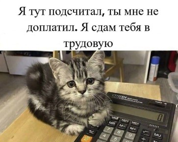     50 
