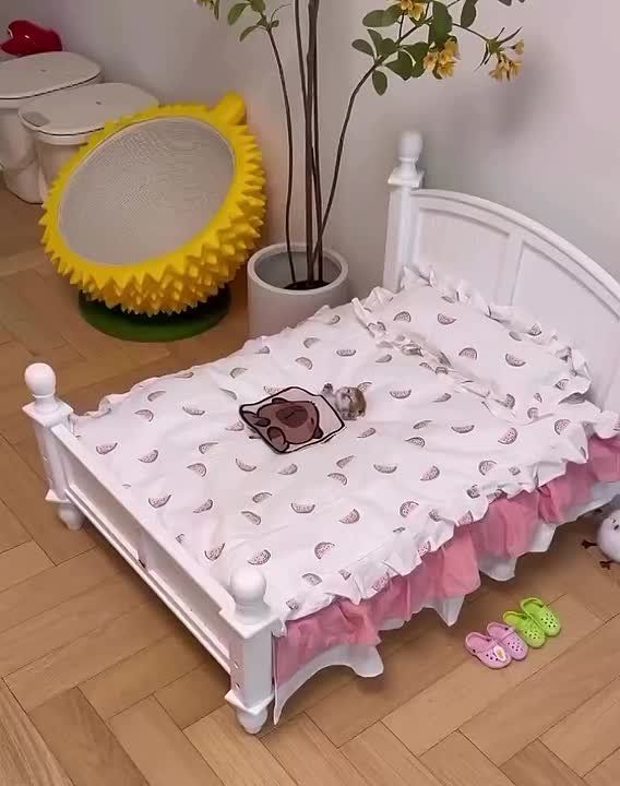 ,      ,    