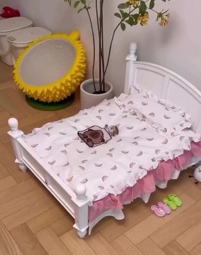 ,      ,    
