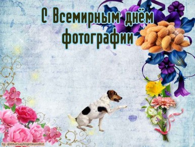 #КорочеПраздники на 19 августа