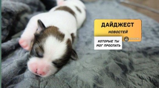 Рассказываем о новостях, которые вы могли пропустить вчера